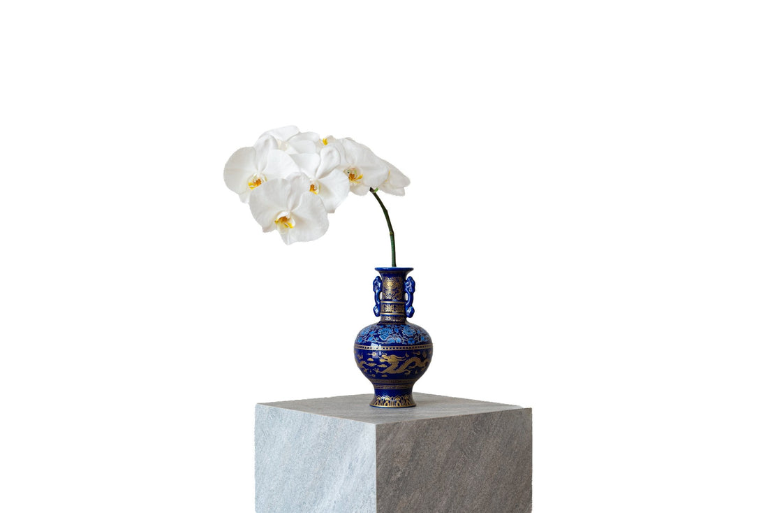 Blue Imperial by FLORAL: white phalaenopsis orchid stem in a cobalt blue and gold porcelain vase with dragon motif