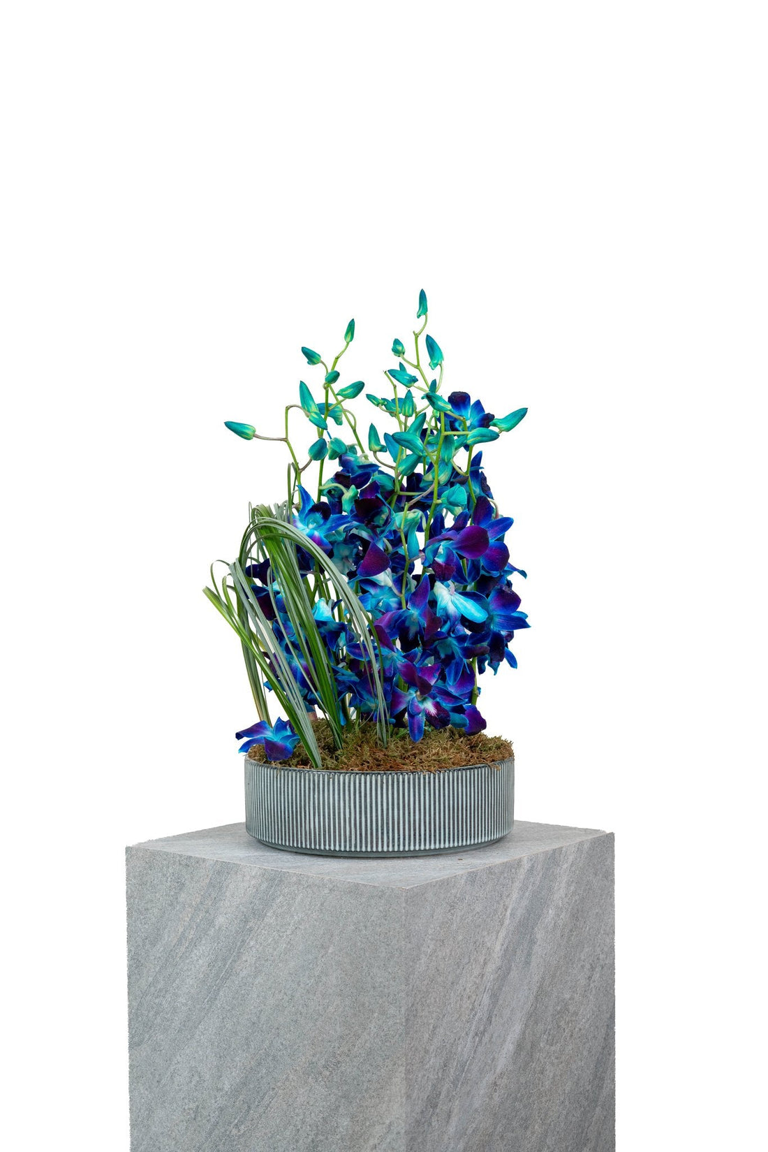 Blue Obsession by FLORAL