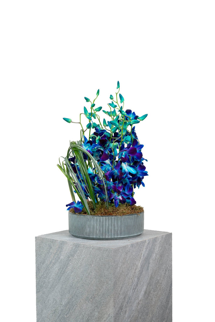 Blue Obsession by FLORAL