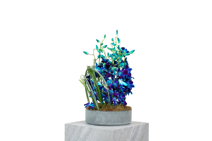 Blue Obsession by FLORAL, view 2