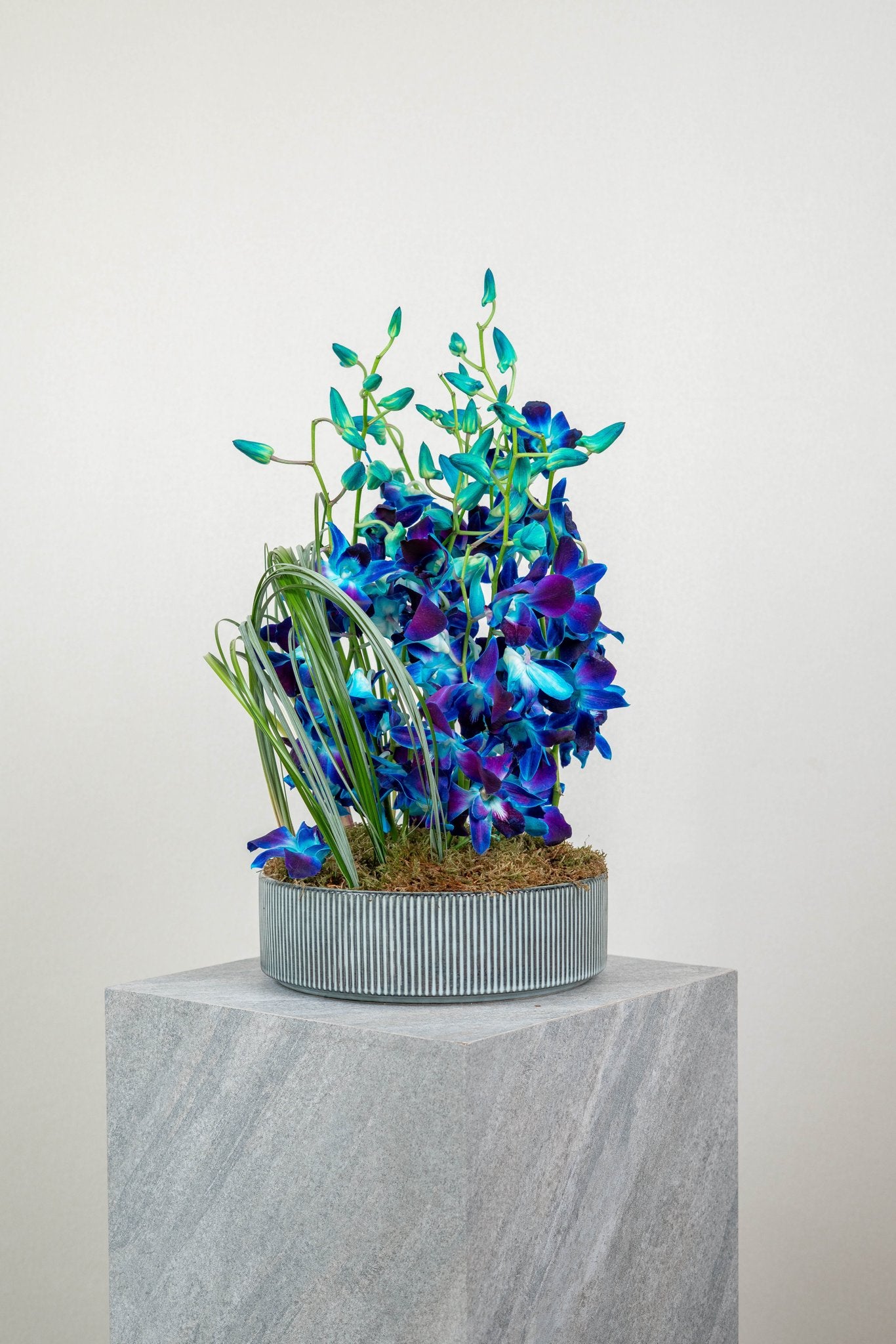 Blue Obsession by FLORAL, view 3