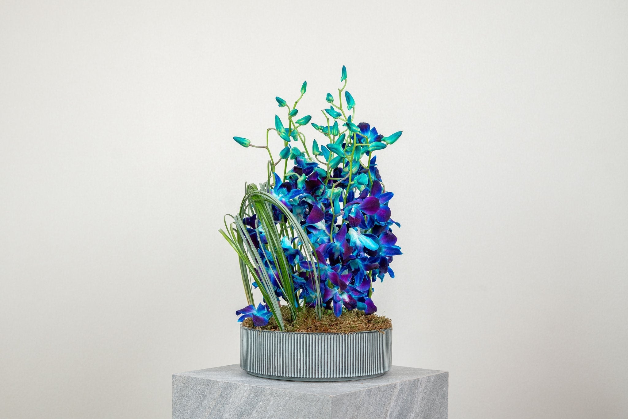 Blue Obsession by FLORAL, view 4