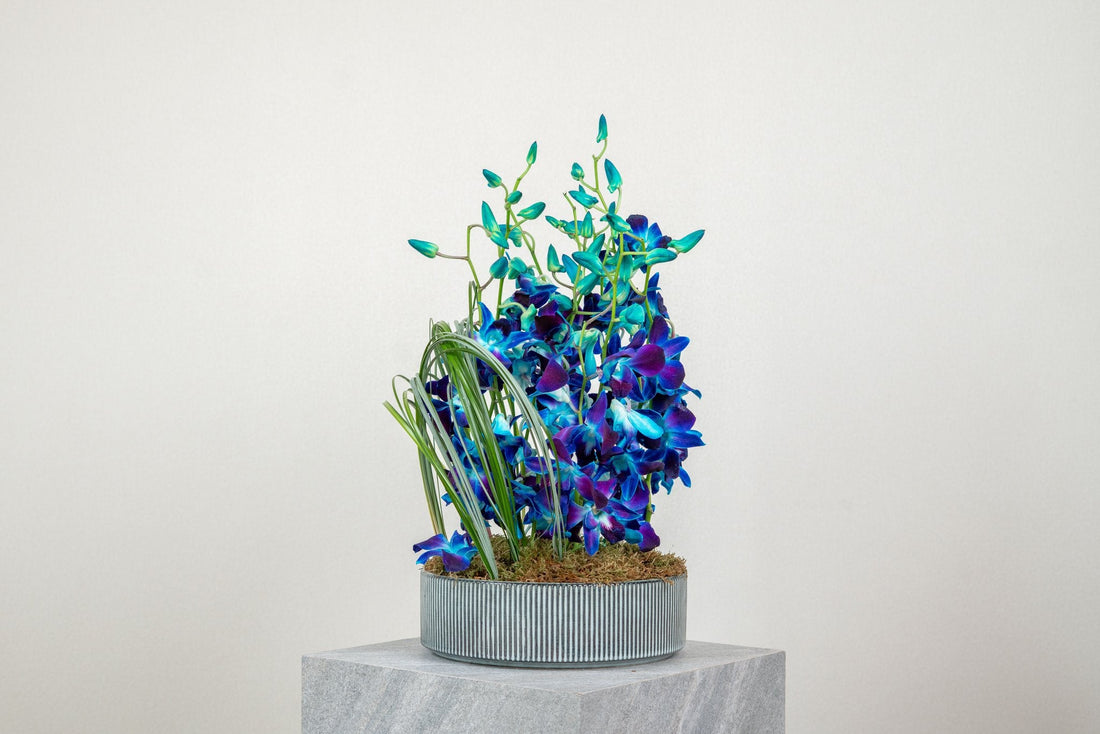 Blue Obsession by FLORAL, view 4
