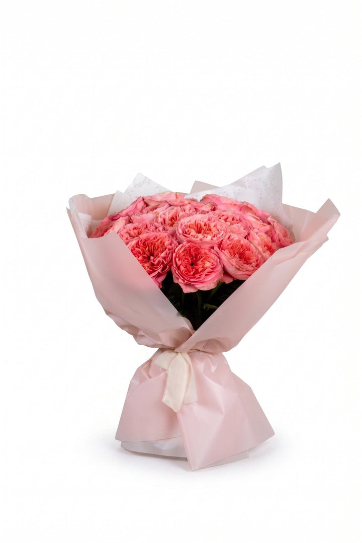 Coralia by FLORAL