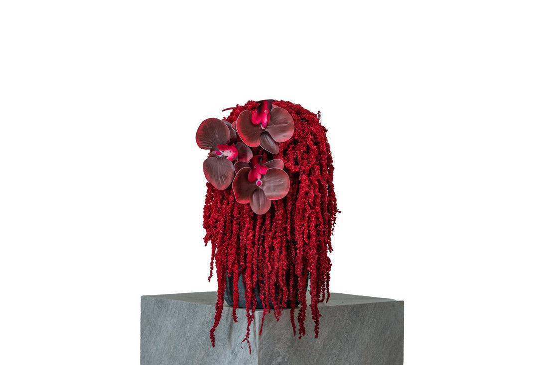 Red Fountain by FLORAL: cascading red amaranthus with burgundy phalaenopsis orchids in a dark pot