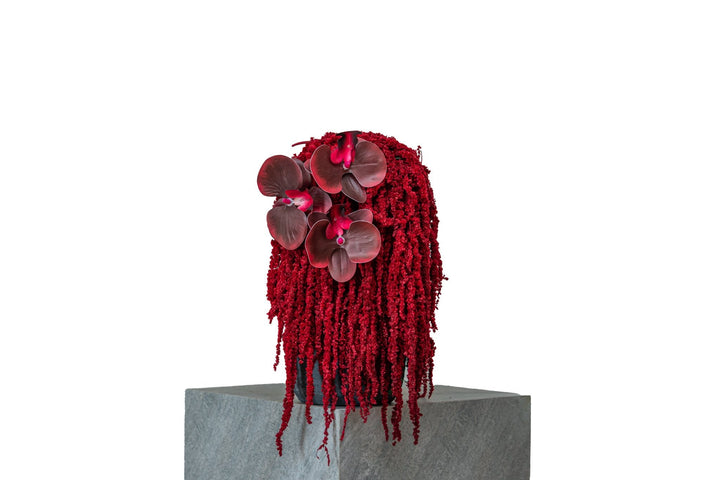 Red Fountain by FLORAL: cascading red amaranthus with burgundy phalaenopsis orchids in a dark pot