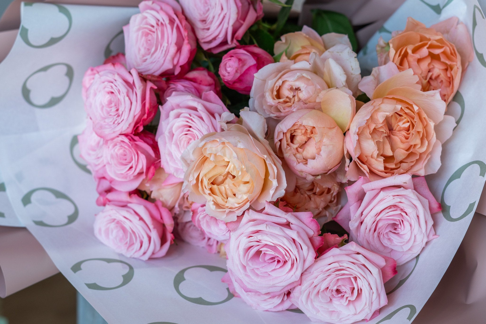 Rosaria by FLORAL, close-up of pink and peach roses