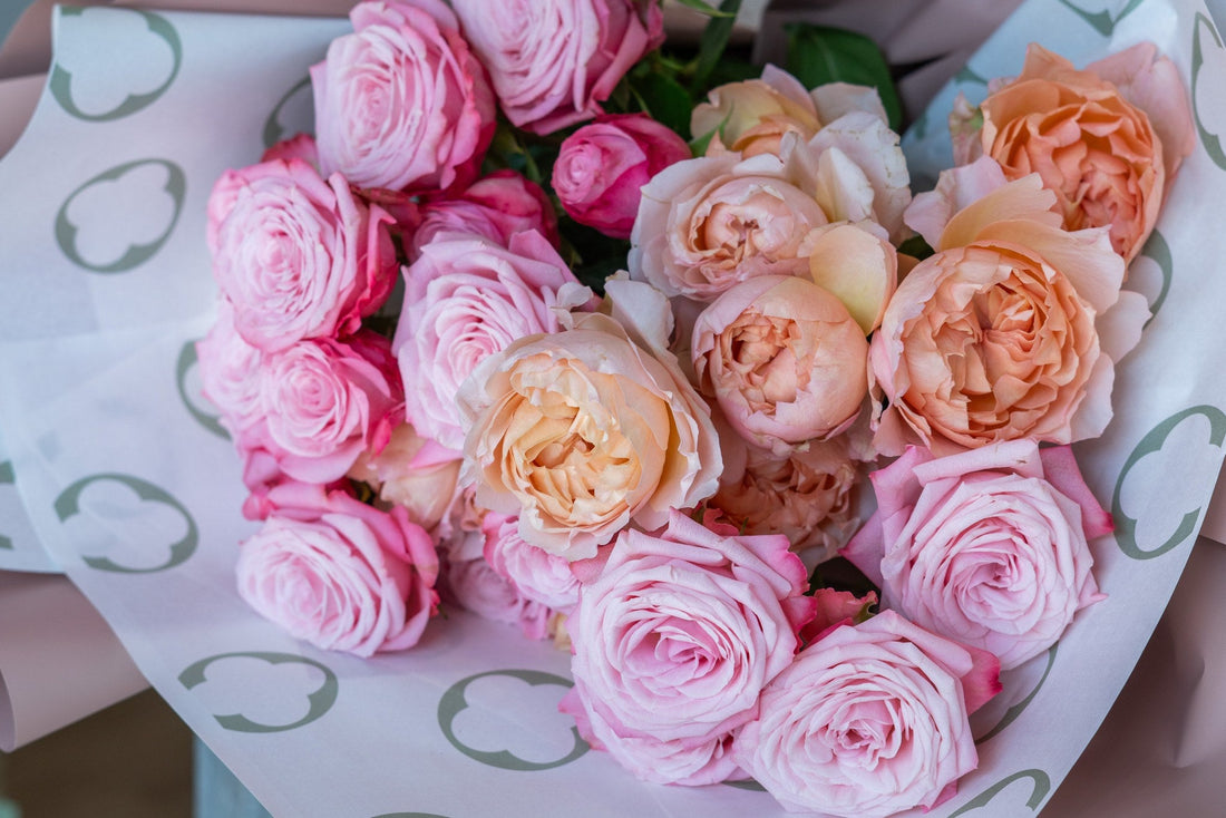 Rosaria by FLORAL, close-up of pink and peach roses