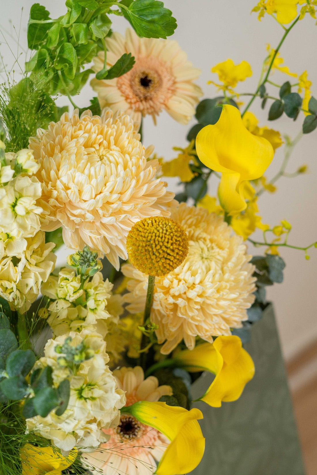 Royal Canary by FLORAL, view 5