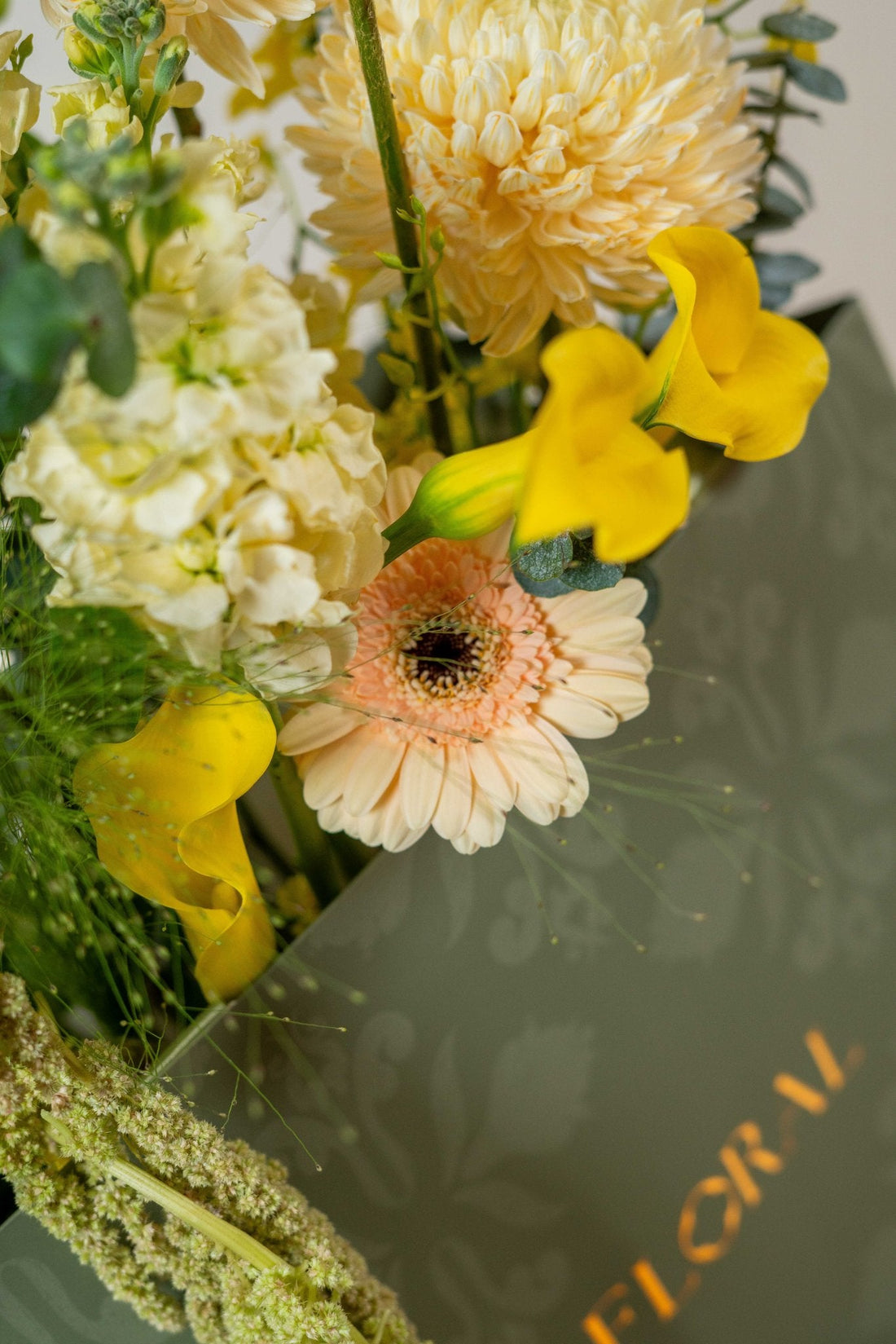 Royal Canary by FLORAL, view 6