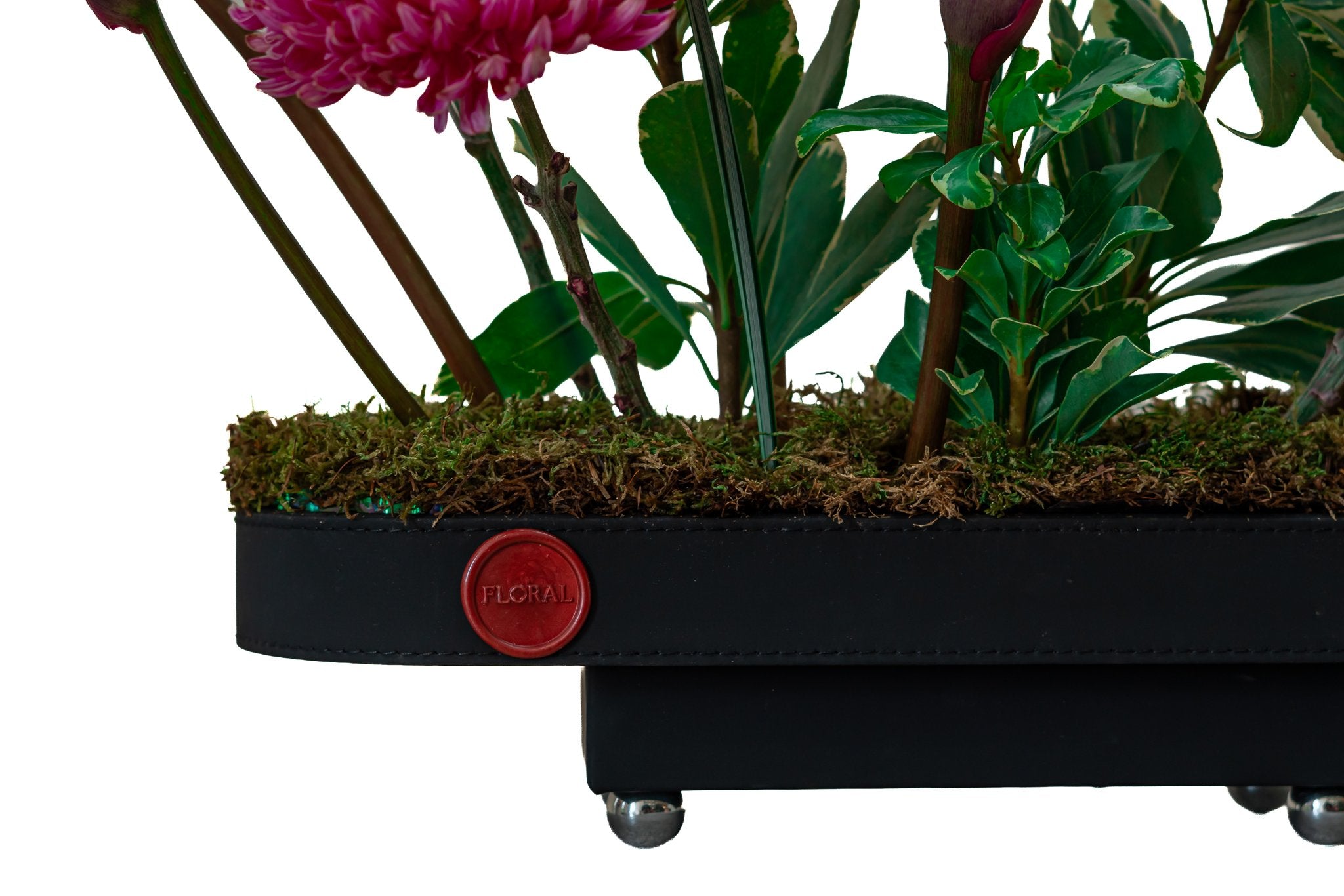 Royal Velvet by FLORAL, view 3