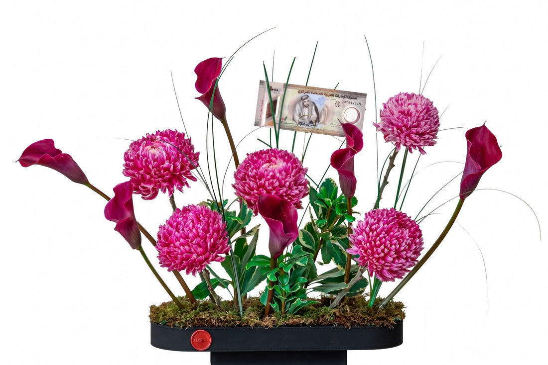 Royal Velvet by FLORAL with acrylic money gift holder
