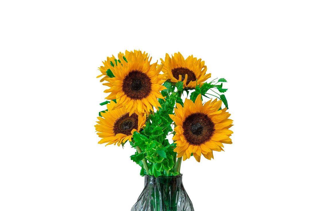 Solaris by FLORAL, view 2