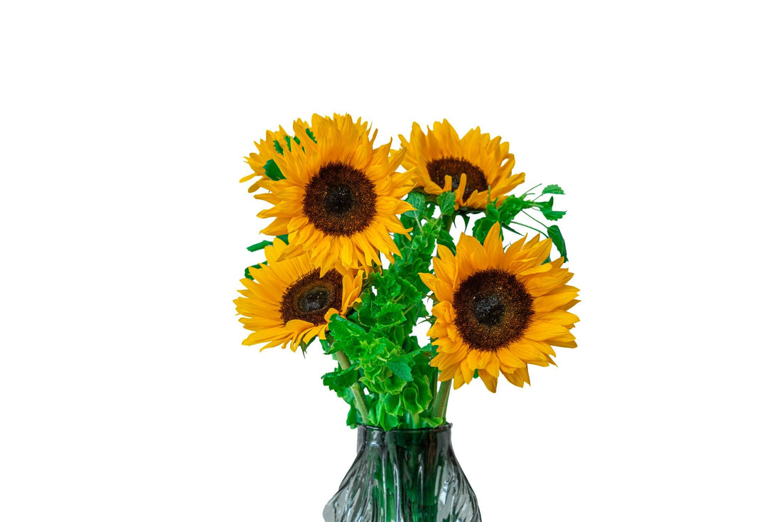 Solaris by FLORAL, view 3