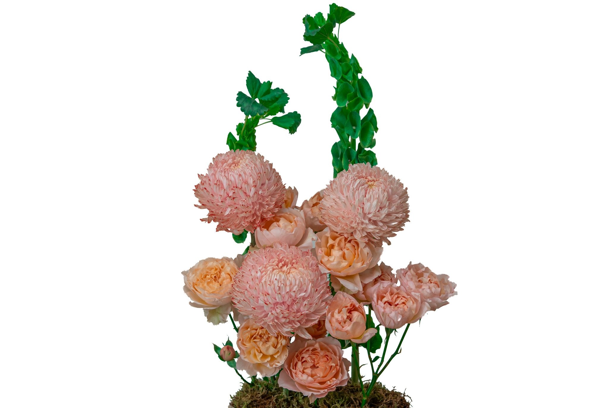 The Royal Peach by FLORAL, view 2