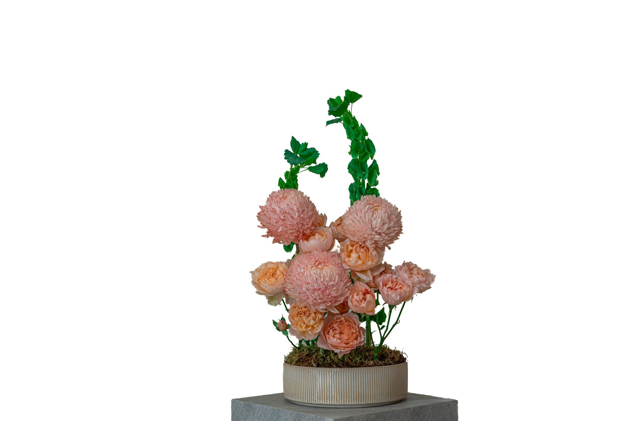 The Royal Peach by FLORAL, view 3