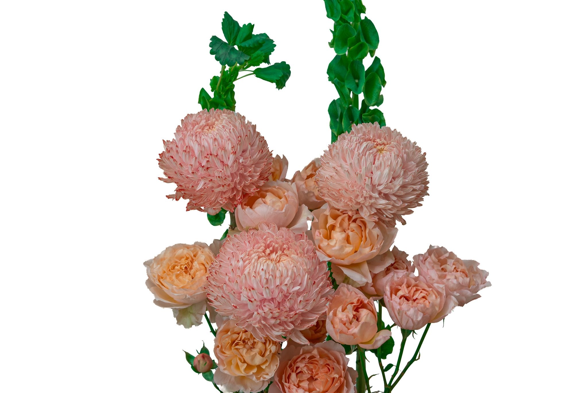 The Royal Peach by FLORAL, view 4
